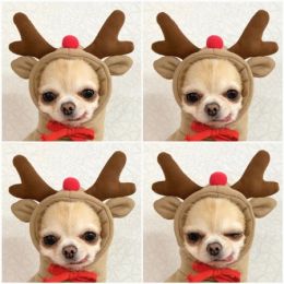 Dog Autumn And Winter Clothing Small And Medium Dog Love Two Legged Cat Cute Pet Clothing (Option: 6 Style-L)